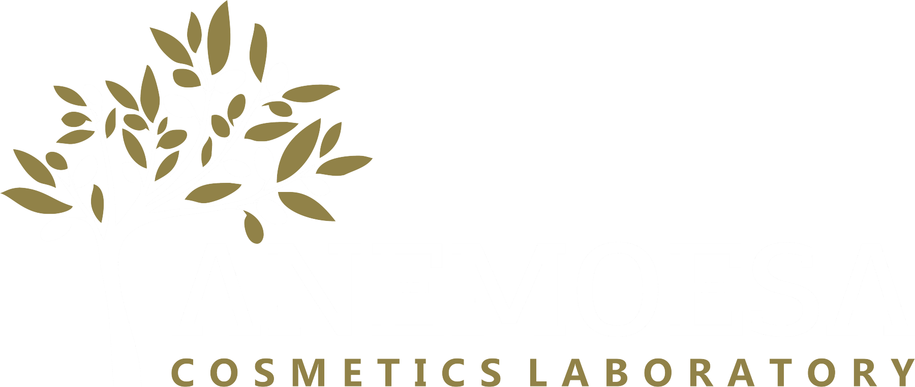 Anemoesa.com